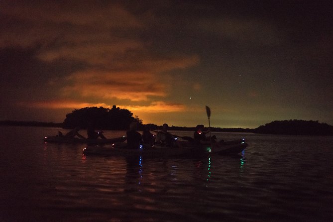 Bioluminescent Kayak Tour. Fin Expeditions Is Cocoa Beaches Top Rated Kayak Tour - Common questions