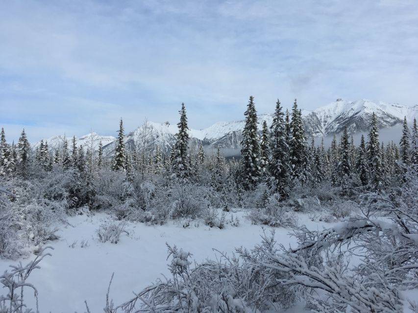 Canmore: Wilderness and Wildlife - Hiking Tours - Directions