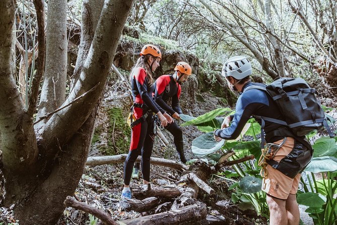 Canyoning With Waterfalls in the Rainforest - Small Groups ツ - Restrictions and Cancellation Policy