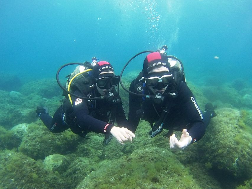 Chalkidiki: Scuba Diving for Beginners in Kassandra - Dive Site and Equipment