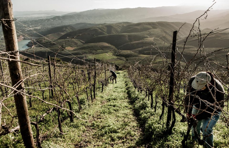 Chania Countryside/Winery Visit With a Private Driver - Important Information