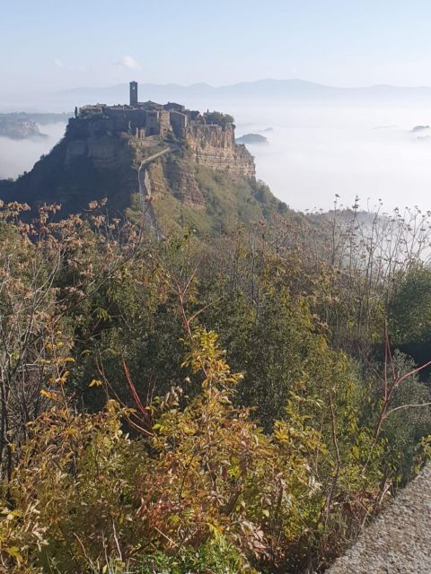 Civita Di Bagnoregio the Dying City Private Tour From Rome - Booking Instructions