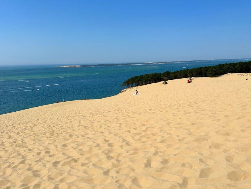 Dune Du Pilat and Oysters Tasting ! What Else ? - Positive Reviews