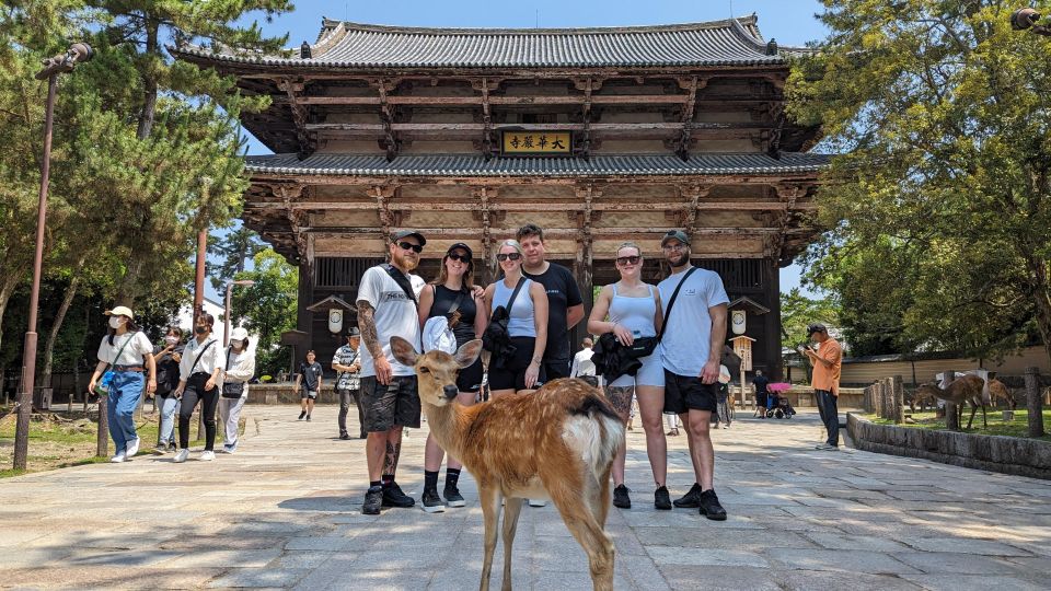 E-Bike Nara Highlights - Todaiji, Knives, Deer, Shrine - Discovering Japanese Cutlery