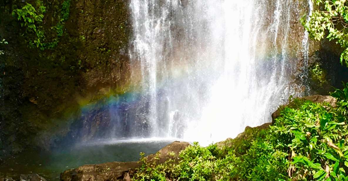 East Maui: Private Rainforest or Road to Hana Loop Tour - Booking Information
