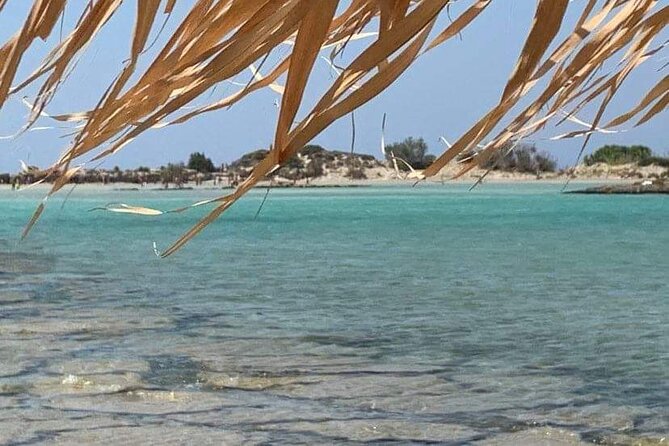 Elafonisi Beach: Welcome to Paradise, From Rethymnon - Beach Experience and Atmosphere