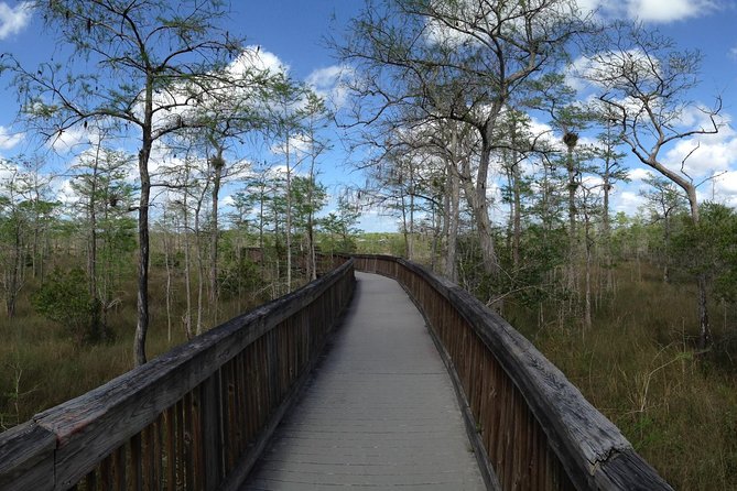 Everglades Adventure From the Greater Fort Myers Area  - Naples - Family Experience Insights