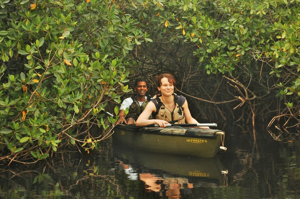 Everglades National Park: Mangrove Tunnel Kayak Eco-Tour - Final Words