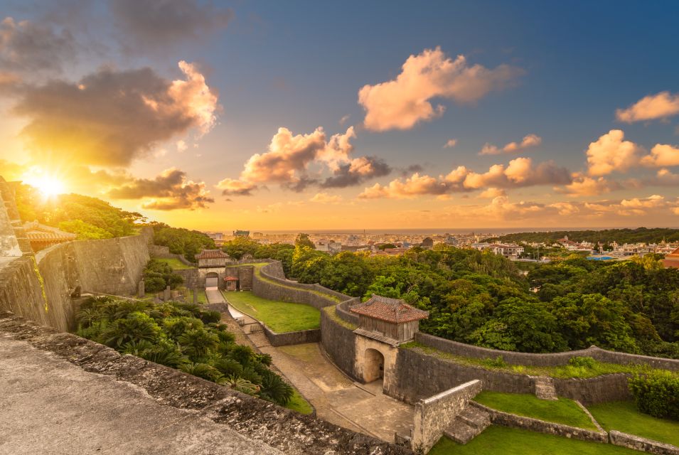 Exploring Okinawa's Natural Beauty and Rich History - Activity Details