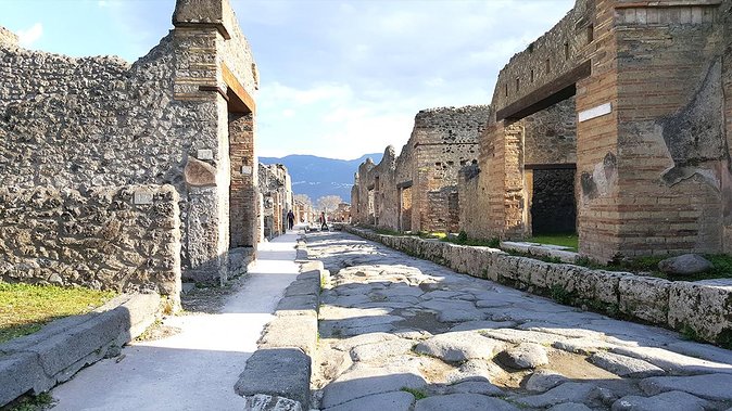 Fast Access Exclusive Private Ancient Pompeii Half Day Tour With Local Guide - Booking Tips