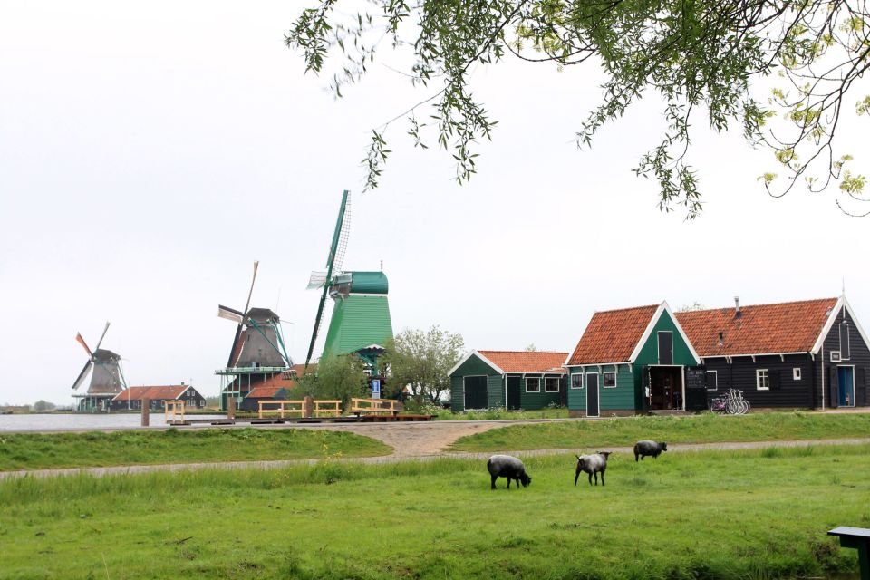 From Amsterdam: Windmills of Zaanse Schans Tour in Spanish - General Information