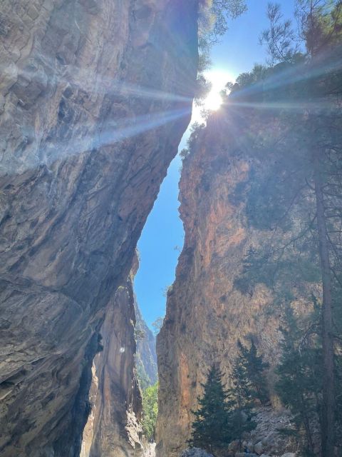From Chania: Samaria Gorge Hiking Tour - Important Information
