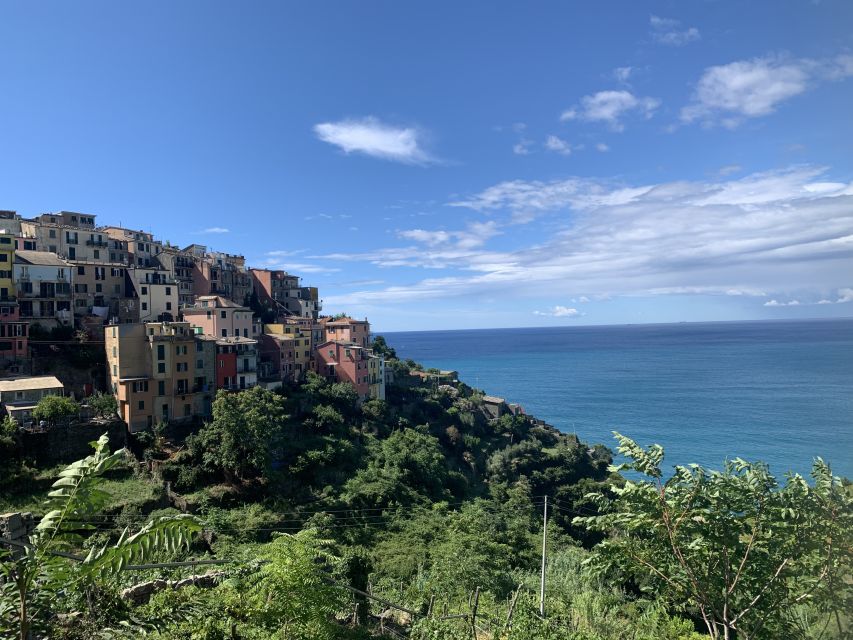 From Florence: Private Roundtrip Transfer to Cinque Terre - Booking Information
