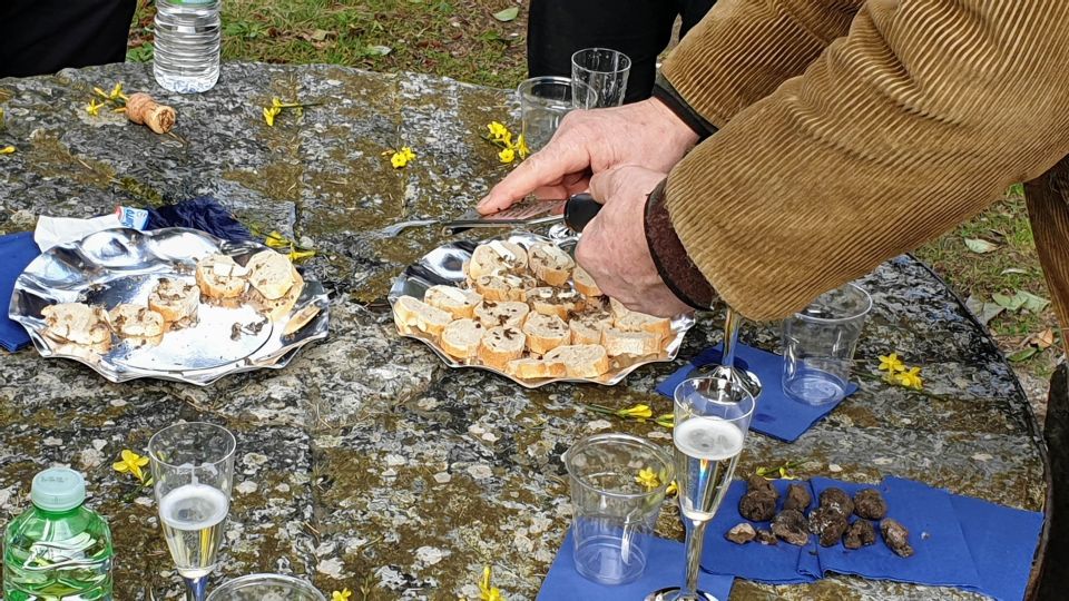 From Florence: Truffle Hunt and Lunch in the Countryside - Booking Details