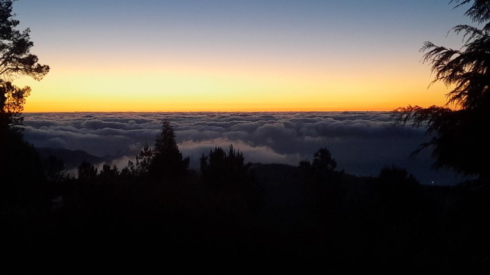 From Funchal: Pico Do Arieiro Sunset With Dinner and Drinks - Customer Reviews and Ratings