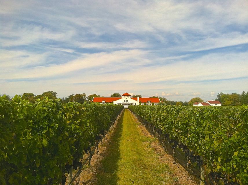 From NYC: Long Island Winery Tours With Lunch - Additional Details