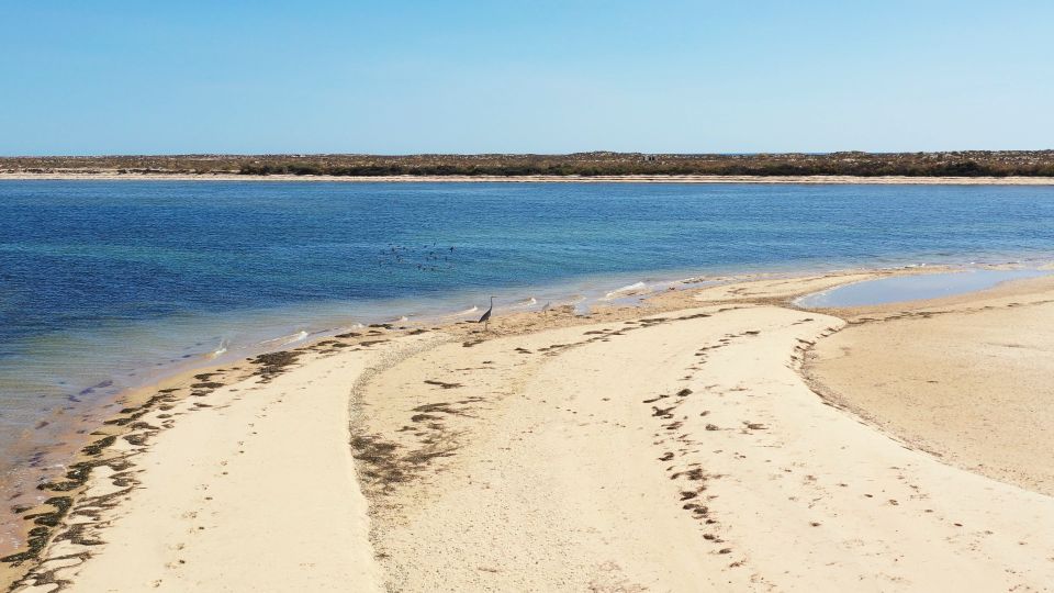 From Olhão: Ria Formosa 3-Island Full-Day Tour - Additional Information