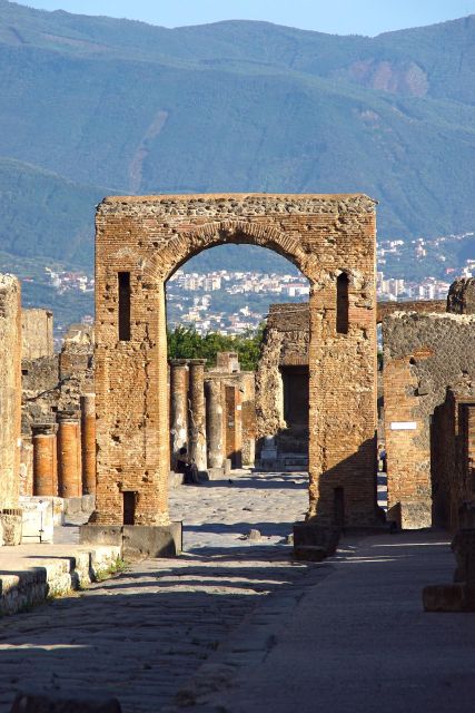 From Paestum:Pompeii Guided Tour With Wine Tasting and Lunch - Suitability and Recommendations