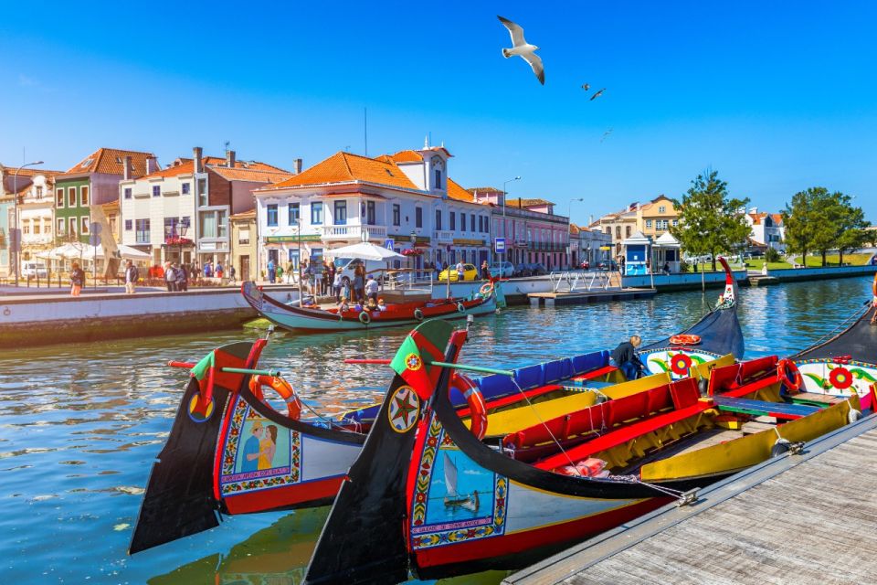 From Porto: Aveiro and Coimbra Private Tour - Important Information