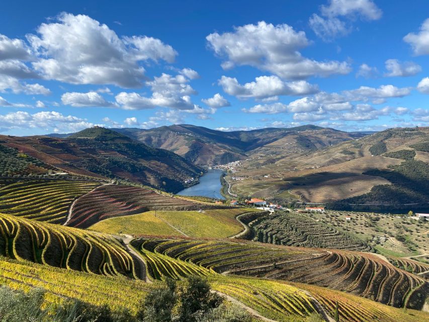 From Porto: Private Douro Valley Tour and Boat Cruise - Customer Reviews
