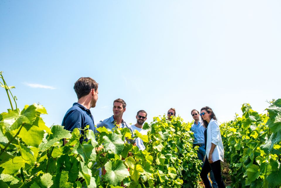 From Reims: Morning Champagne Tour and Tastings - Important Information