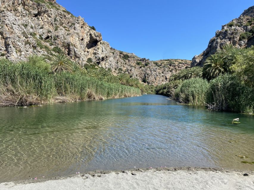 From Rethymno: Preveli Palm Forest Hike and Beach Day Trip - Important Information