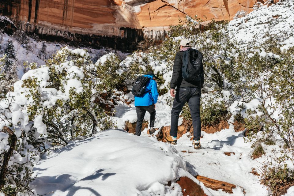 From Springdale: 4-hour Zion Canyon Scenic Hiking Tour - Notable Guide Reviews