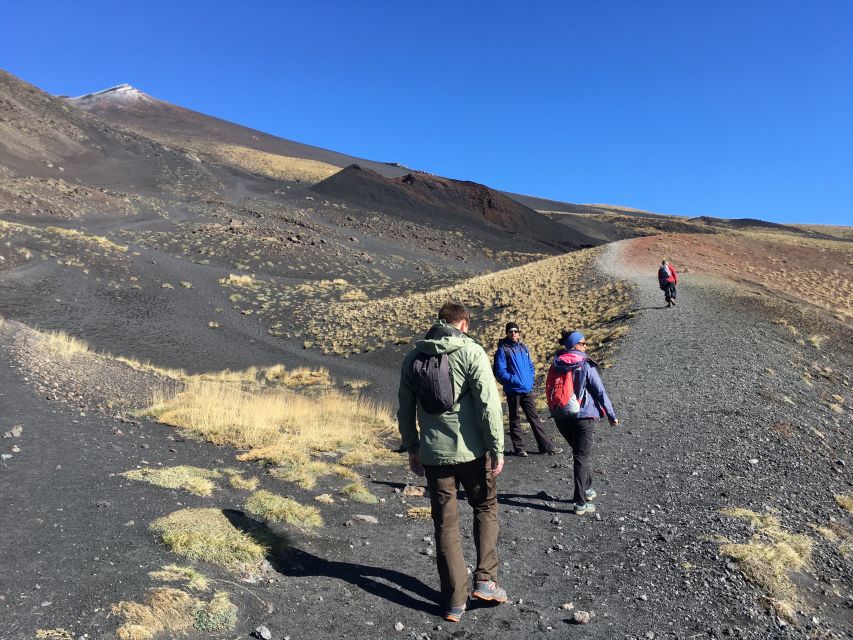From Taormina or Catania: Private Full-Day Mount Etna Hike - Customer Reviews