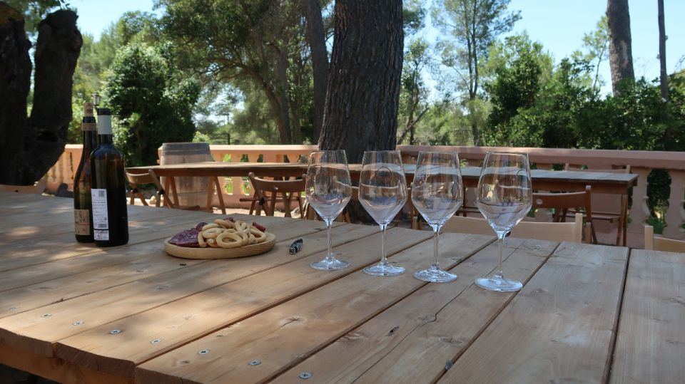From Valencia: Utiel-Requena Wine Tour and Traditional Lunch - Transportation and Pickup Details