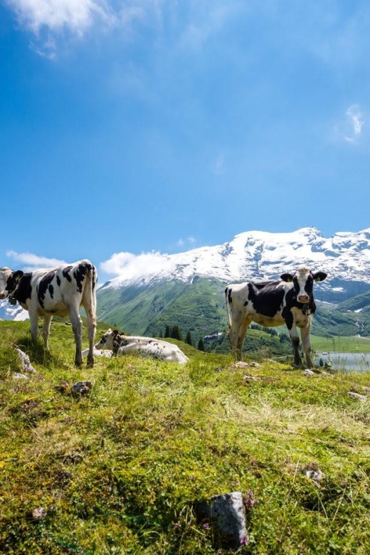 From Zurich: 2-Day Mt.Titlis Including 4-Course Dinner - Overnight Stay in Mountain Lodge