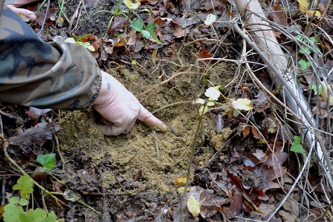 Full-Day Small-Group Truffle Hunting in Tuscany With Lunch - Cancellation Policy Details