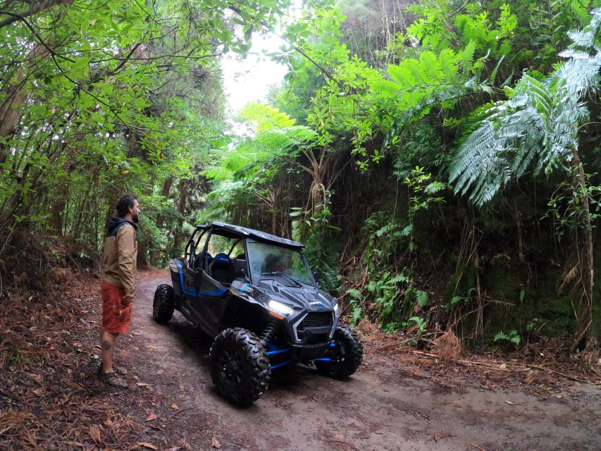 Funchal: Private Off-Road Buggy Tour With Guide & Transfers - Important Items to Bring