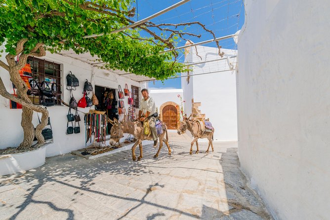 Greek Daytrip: Rhodes to Lindos Minibus Tour - Additional Information