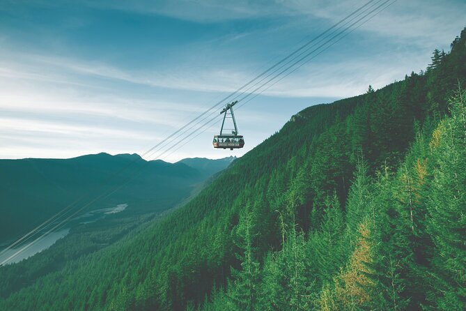 Grouse Mountain Admission Ticket - Viator Booking and Impressions