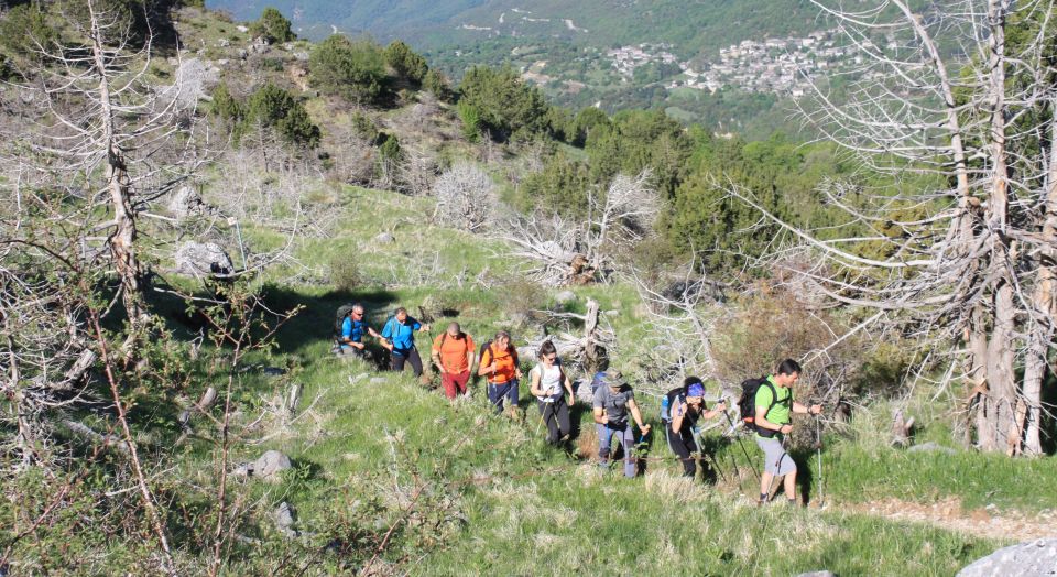 Guided Hiking Tour to the Dragon Lake of Mountain Tymfi - Tour Restrictions