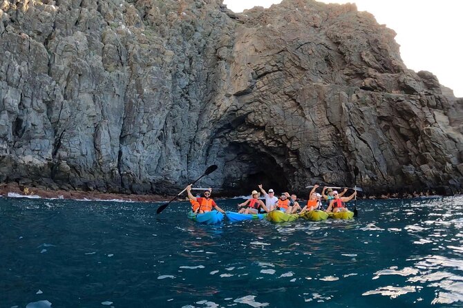 Guided Kayak Tour From Los Cristianos Beach Tenerife - Reviews and Guest Experiences