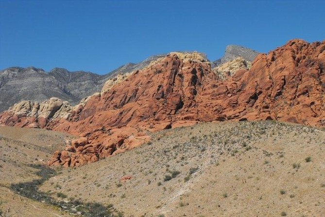 Guided Mountain Bike Tour of Mustang Trail in Red Rock Canyon - Final Words