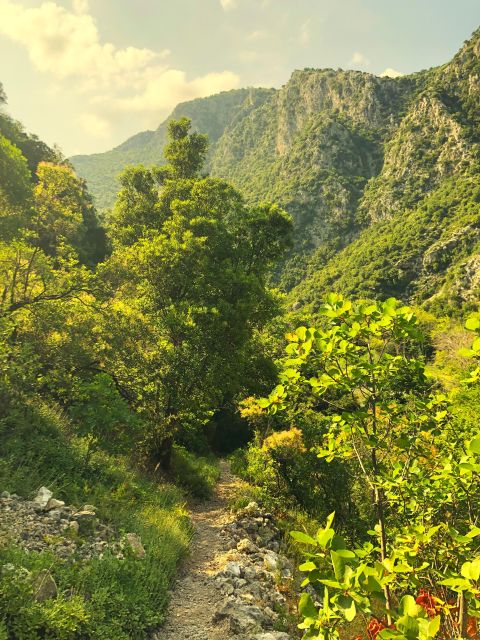 Hiking Tour in Souli Plateau, Kougi and Skala Tzavelena - Cancellation Policy