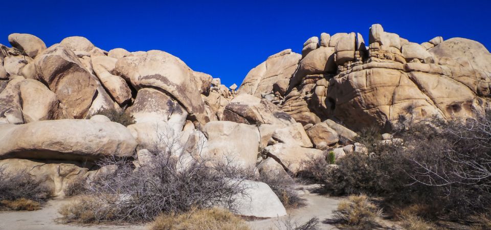Joshua Tree National Park: Self-Guided Driving Tour - Important Information