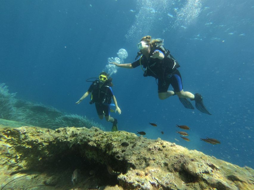 Kefalonia: Beginner Scuba Diving at Agia Efimia Village - Restrictions and Suitability