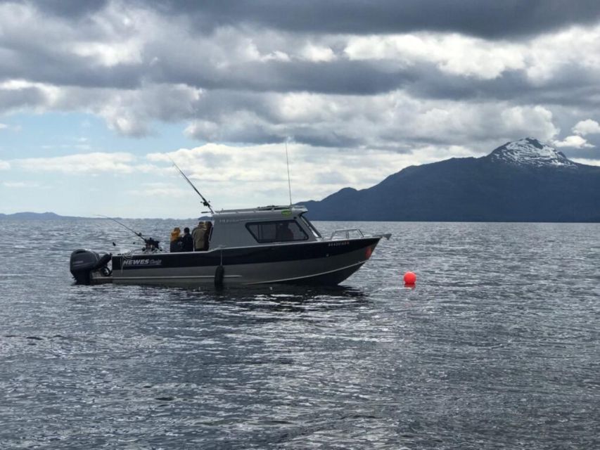 Ketchikan: Salmon and Halibut Combo Fishing Charter - Booking Options