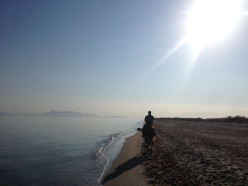 Kos: Horse Riding Experience on the Beach With Instructor - Booking and Important Reminders