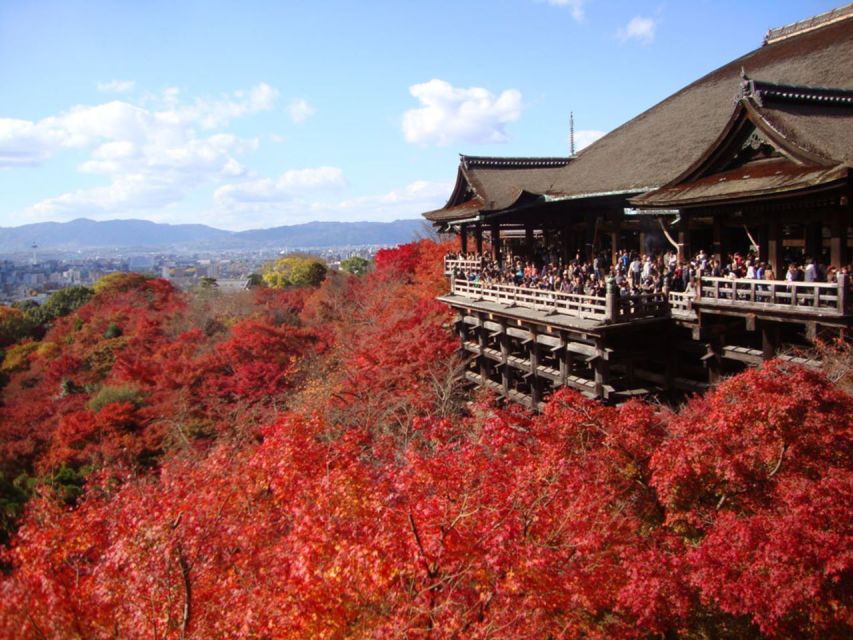 Kyoto: Full-Day Best UNESCO and Historical Sites Bus Tour - Customer Reviews and Ratings