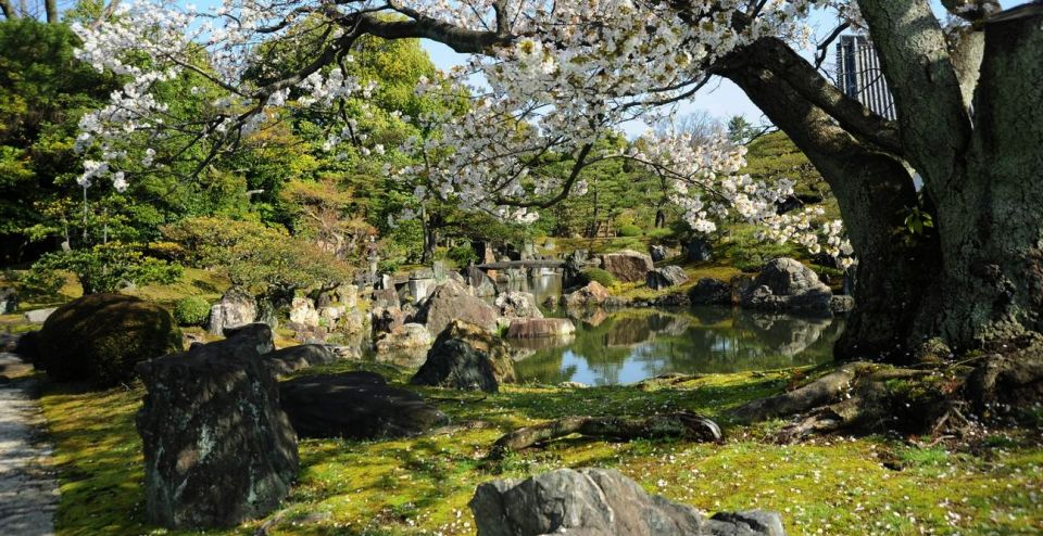 Kyoto: Nijo Castle and Ninomaru Palace Ticket - Customer Reviews