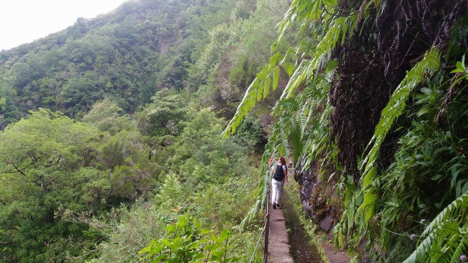 Madeira: Forest Fires, Green Cauldron and Levada Walk - Pickup Information and Pricing