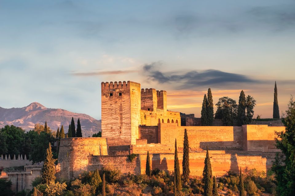 Málaga: Roman Theatre and Alcazaba Private Walking Tour - Booking Information
