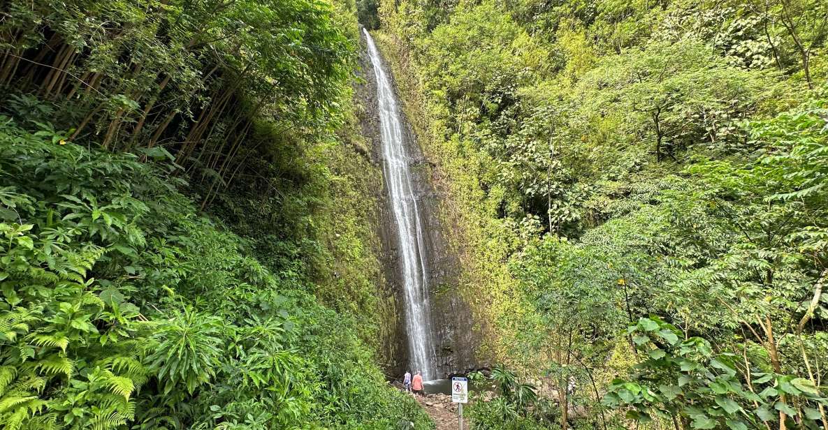 Manoa Falls Ebike to Hike - Directions