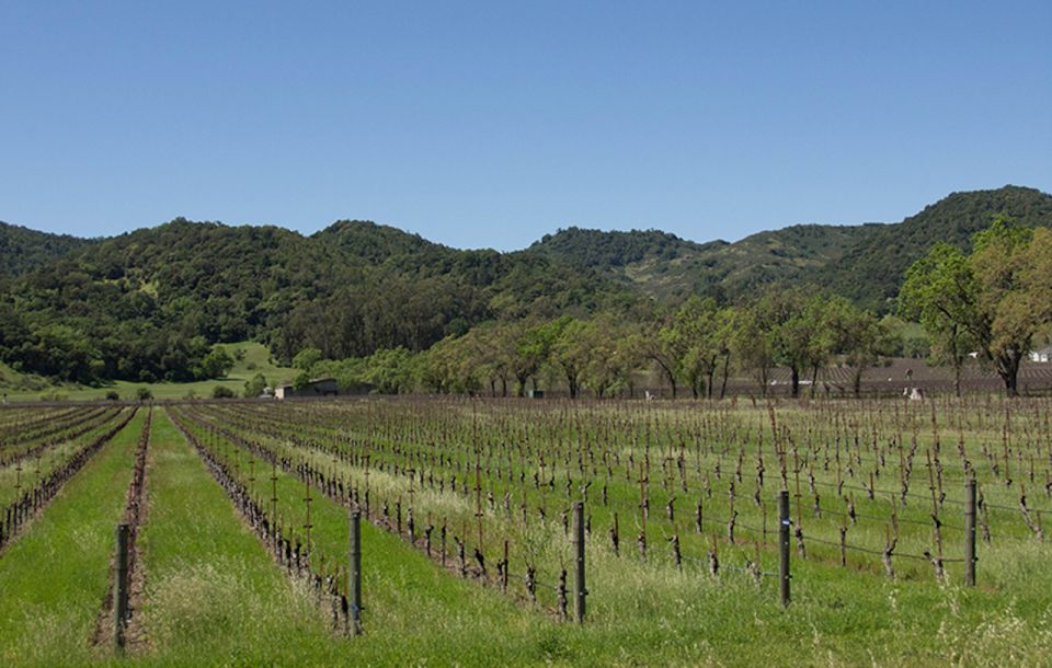 Napa Valley: Wine Tasting Tour by Open Air Trolley & Lunch - Directions