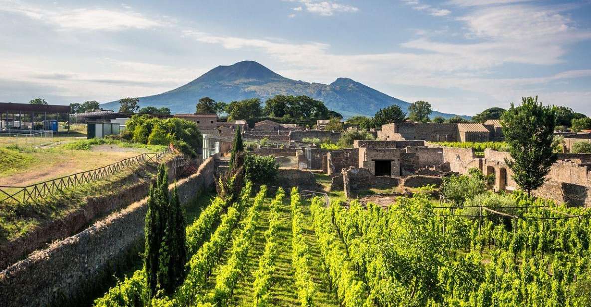 Naples: Vesuvius, Pompeii, and Vineyards Tour - Common questions