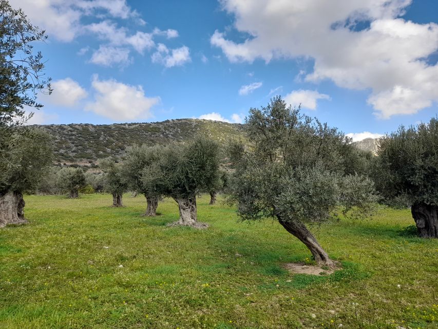 Naxos: Countryside Hike Among Villages & Byzantine Churches - Directions